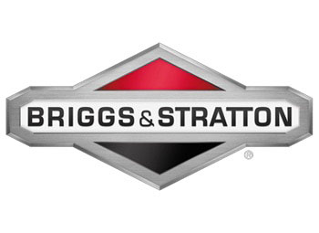 briggs-stratton-promo-page